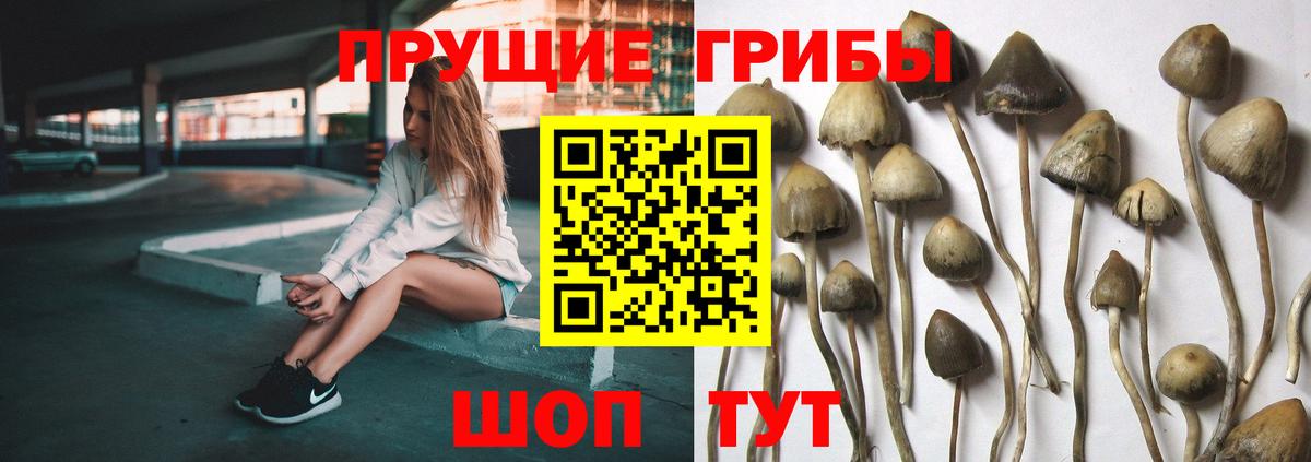 Галлюциногенные грибы Magic Shrooms  Галлюциногенные грибы мухоморы  где купить   Кострома  Вход с VPN 